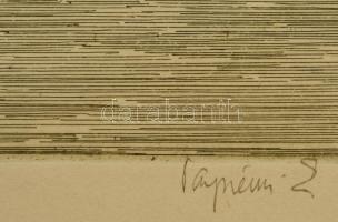 Veszprémi Ede (?-?): Vörösmarty tér. Rézkarc, papír, jelzett, 29×38 cm