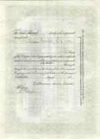 USA 1920-as évektől 1970-es évekig 18klf dekoratív értékpapír többségében nagyon jó állapotban!