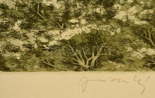 Jurida Károly (1935-2009): Erzsébet híd. Rézkarc, papír, jelzett, 29×38 cm