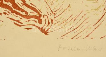 Somlai Vilma (1938-2007): Őszi alma. Színes linó (61/100), papír, jelzett, 29×38 cm