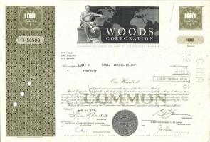 USA 1920-as évektől 1970-es évekig 18klf dekoratív értékpapír többségében nagyon jó állapotban!