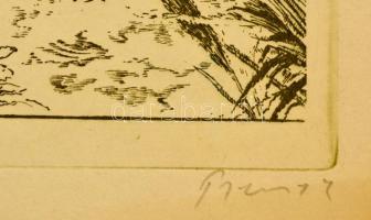 Olvashatatlan jelzéssel: Budapest Margitsziget. Rézkarc, papír, 29,5×39 cm