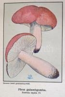 Gyakorlati gazdalexikon I-II. kötet. Szerk.: Mille Géza. Bp.,[1927],Sylvester-Nyomda, VII+1-587+5+XV...