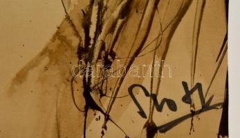 Stotz Mihály (?-?): Arc. Vegyes technika, papír, jelzett, paszpartuban, 34×22 cm