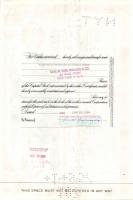 USA 1956/1980. 10db klf. dekoratív részvény+ 1db 1943. Német 3. Birodalom részvény