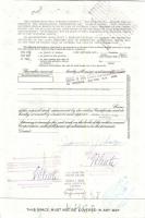 USA 1956/1980. 10db klf. dekoratív részvény+ 1db 1943. Német 3. Birodalom részvény