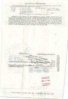 USA 1956/1980. 10db klf. dekoratív részvény+ 1db 1943. Német 3. Birodalom részvény