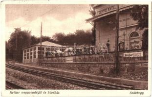 21 db régi magyar és történelmi magyar városképes lap / 21 pre-1945 Hungarian and Historical Hungari...