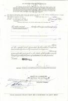 USA 1953/1970. 9db klf. dekoratív részvény + 1943. Német 3.Birodalom 1db részvény