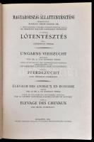 Döhrmann Henrik: Lótenyésztés. Magyarország Állattenyésztése. II. kötet. Szerk.: Dr. Konkoly Thege S...