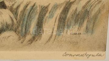 Conrad Gyula (1877-1959): Havasok. Színezett rézkarc, papír, jelzett, üvegezett keretben, 35×25 cm