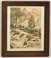 Conrad Gyula (1877-1959): Havasok. Színezett rézkarc, papír, jelzett, üvegezett keretben, 35×25 cm