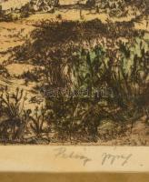 Olvashatatlan jelzéssel: Dunapentelei táj. Színezett rézkarc, papír, jelzett, üvegezett keretben, 26...