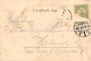 1901 Sopron, Oedenburg; Kossuth út, feldíszített villamos magyar címerrel, Varga és Dukász üzlete, p...