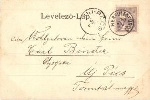 Herkulesfürdő, Baile Herculane - 2 db régi képeslap, egy 1899-ből, egy 1900-ból / 2 pre-1945 town-vi...