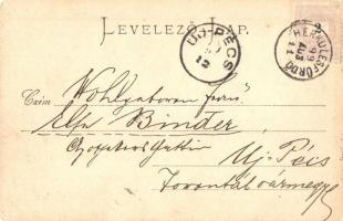 Herkulesfürdő, Baile Herculane - 2 db régi képeslap, egy 1899-ből, egy 1900-ból / 2 pre-1945 town-vi...