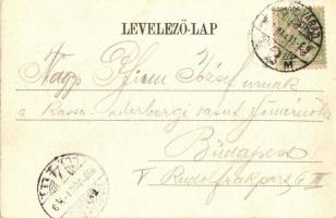 1903 Nagyvárad, Oradea; Igazságügyi palota. Kiadja Sonnenfeld Adolf / Palace of Justice