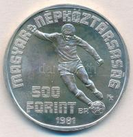 1981. 500Ft Ag "Labdarúgó Világbajnokság 1982" tokban T:BU kis patina 
Adamo EM65