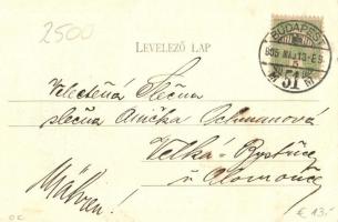 1905 Budapest IX. Üllői úti klinika a Mária utca sarkán, villamos. Divald Károly 10. sz. (EK)