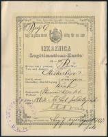 1864 Személyi igazolvány horvát nyelven. / Croatian ID