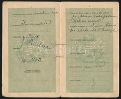 1908 Horvát és francia nyelven feliratozott magyar útelvél horvát férfi részére. / Croatian - French...