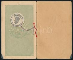 1908 Horvát és francia nyelven feliratozott magyar útelvél horvát férfi részére. / Croatian - French...