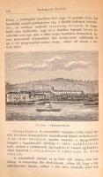 Dr. Ziffer Károly: Népszerű orvosi tanácsadó vagy házi lexikon az egészséges és beteg emberről. I. k...