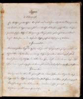 1865 Német nyelvű, kézzel írt szakácskönyv, a címlapon a lejegyző nevével, Sternberg, 1865. Junius 2...