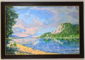 Gödi Vass István (1941-): Derűs Visegrád. Olaj, vászon, jelzett, keretben, 60×90 cm