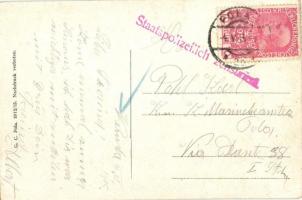 SM Hochseeboot Alligator (SM Torpedoboot 52). K.u.K. Kriegsmarine / WWI Austro-Hungarian Navy SMS Al...