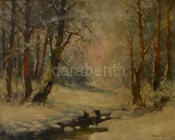 Petheő A. László (?-?): Téli erdő patakkal. Olaj, vászon, keretben, 44×54 cm