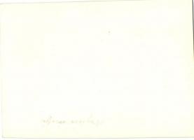 Vághéve-Vágváralja, Povazská Teplá-Povazské Podhradie; várrom / castle ruins. photo (nopn PC)