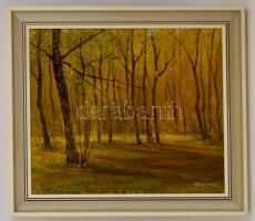 Pánczél Zoltán (1947-): Erdő széle. Olaj, farost, jelzett, keretben, 42×48 cm