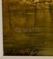 Pánczél Zoltán (1947-): Szigetközi csönd. Olaj, farost, jelzett, keretben, 35×50 cm