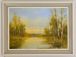 Pánczél Zoltán (1947-): Szigetközi csönd. Olaj, farost, jelzett, keretben, 35×50 cm