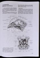 Zboray Géza: Összehasonlító anatómiai praktikum. II. Bp., 1995. Nemzeti Tankönyvkiadó