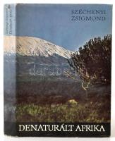 Széchenyi Zsigmond: Denaturált Afrika. Bp., 1968, Szépirodalmi. Első kiadás! Kiadói félvászonkötés, kiadói papír védőborítóban.