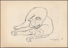 Medgyessy Ferenc (1881-1958): 22 db tanulmányrajzról készült cinkográfia. 20x30 cm