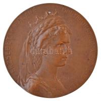 Ifj. Vastagh György (1868-1946) 1911. "Erzsébet királyné - Magyarország védő angyala / Drezdai Egészségügyi Világkiállítás - A Magyar Állam Pavillonja" Br emlékérem (60mm) T:2 Hungary 1911. "Queen Elisabeth - Protector angel of Hungary / International Hygiene Exhibition in Dresden" commemorative Br medallion. Sign: György Vastagh (60mm) C:XF  HP 6364.