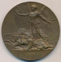 Osztrák-Magyar Monarchia 1914. "Az első világháború kezdete" Br emlékérem. Szign.: Rudolf ...