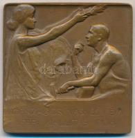 Berán Lajos (1882-1943) / Telcs Ede (1872-1948) 1906. "Szterényi József H. védnök - Kossuth Fer...