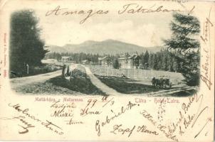 1899 Matlárháza, Tatranské Matliare (Tátra, Magas Tátra, Vysoké Tatry); látkép, szálloda, nyaraló / general view, hotel, villa (EK)