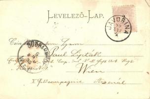1899 Matlárháza, Tatranské Matliare (Tátra, Magas Tátra, Vysoké Tatry); látkép, szálloda, nyaraló / ...