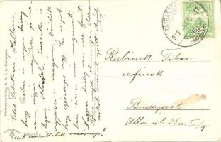 Tátraszéplak, Weszterheim, Tatranska Polianka; szánkózók / sledding people, winter sport (szakadás k...