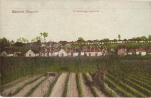 Monor, Strázsahegyi pincék, szőlőskertek. Kiadja Burján Béla (EK)