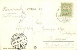 1907 Örkénytábor (Táborfalva), Artézi kút, katonák létrával, ágyúk. Kiadja Wassermann Vilmos