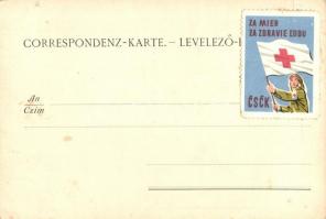 SMS Kronprinzessin Stephanie im Quarnero. K.u.K. Kriegsmarine art postcard. A. Reinhard's Verla...