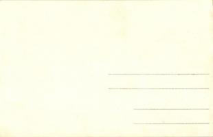 Árvaváralja, Oravsky Zámok (od Juhovychodu); Árva vára / Schloss / castle. photo