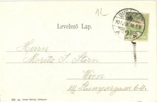 1907 Budapest XII. Svábhegy szálloda. Divald Károly 887. sz