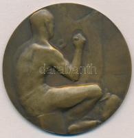 Murányi Gyula (1881-1920)1911. "II. Országos Husipari Kiállítás Budapest" Br emlékérem (62...